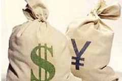 Ảnh chỉ có tính minh họa. (Nguồn: Internet)