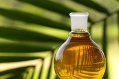 Ảnh chỉ có tính minh họa. (Nguồn: Internet)