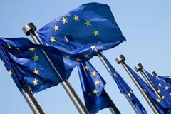 Ảnh chỉ có tính minh họa. (Nguồn: Internet)