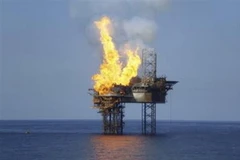 Ảnh chỉ có tính minh họa. (Nguồn: Internet)