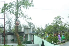 Bão số 11 làm tốc mái nhiều nhà dân ở thành phố Hội An. (Ảnh: Nguyễn Văn Sơn/TTXVN)