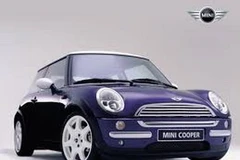 Ảnh chỉ có tính minh họa. (Nguồn: Internet)