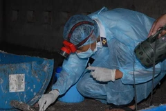 Lấy mẫu xét nghiệm tại các nhà nuôi chim yến. (Ảnh: Mạnh Linh/TTXVN)