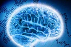 Ảnh chỉ có tính minh họa. (Nguồn: Internet) 