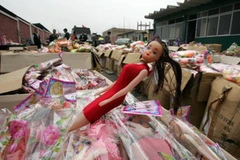 Ảnh chỉ có tính minh họa. (Nguồn: Internet)