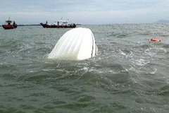 Chiếc tàu bị chìm tại Cần Giờ. (Nguồn: TTXVN)