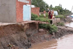 Ảnh chỉ có tính minh họa. (Nguồn: Internet)