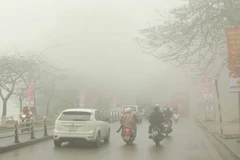 Ảnh chỉ có tính minh họa. (Ảnh: Minh Quyết/TTXVN)