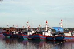 Tàu thuyền neo đậu an toàn tại xã Tam Quan, huyện Núi Thành. (Ảnh: Đoàn Hữu Trung/TTXVN)