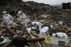 Tìm kiếm các thi thể sau động đất. (Nguồn: AP)