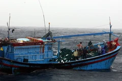 Ảnh chỉ có tính minh họa. (Ảnh: Huy Hùng/TTXVN)