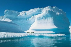 Ảnh chỉ có tính minh họa. (Nguồn: teachingtimes.com)