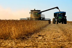 Ảnh chỉ có tính minh họa. (Nguồn: online.wsj.com)