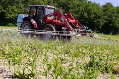 Ảnh chỉ có tính minh họa. (Nguồn: guardian.co.uk)