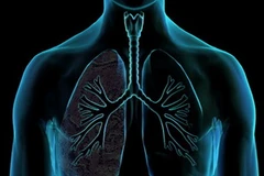 Ảnh chỉ có tính minh họa. (Nguồn: Internet)