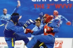 Một trận đấu trong đêm khai mạc Giải vô địch Vovinam thế giới lần thứ 2. (Ảnh: Tràng Dương/TTXVN)