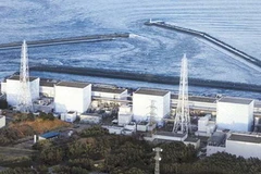 Toàn cảnh nhà máy Fukushima số 1. (Nguồn: Internet)