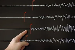 Ảnh chỉ có tính minh họa. (Nguồn: AFP)