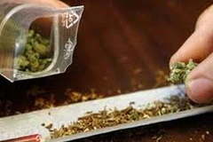 Ảnh chỉ có tính minh họa. (Nguồn: Internet)