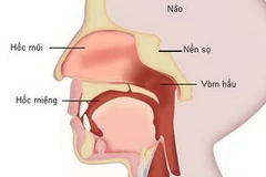 Ảnh chỉ có tính minh họa. (Nguồn: Internet)