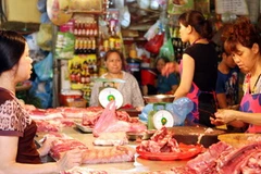 Ảnh chỉ có tính minh họa. (Ảnh: Trần Việt/TTXVN)