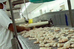 Ảnh chỉ có tính minh họa. (Nguồn: Andahn.org)