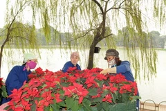 Chuẩn bị cho Lễ hội Phố hoa 2010. (Ảnh: Trần Thanh Giang/TTXVN)