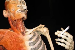 Ảnh chỉ có tính minhh họa. (Nguồn: Internet)