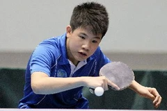 Ảnh chỉ có tính minh họa. (Ảnh: Ngọc Trường/TTXVN)