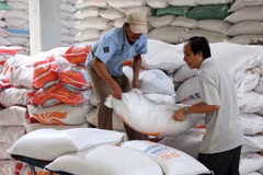 Bốc xếp gạo xuất khẩu tại Công ty Lương thực Đồng Tháp. (Ảnh: Đình Huệ/TTXVN)