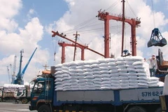 Vận chuyển phân đạm phục vụ nhu cầu thị trường. (Ảnh: Hà Huy Hiệp/Vietnam+)