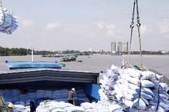 Việt Nam xuất siêu sang Indonesia khoảng 110 triệu USD, chủ yếu nhờ xuất khẩu gạo. (Ảnh: Đình Huệ/TTXVN)