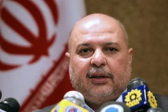 Bộ trưởng Dầu mỏ Iran Masoud Mirkazemi. (Nguồn: Getty Images)