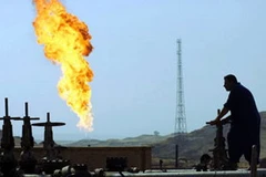 Ảnh chỉ có tính minh họa. (Nguồn: Internet)