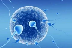 Ảnh chỉ có tính minh họa. (Nguồn: Internet)