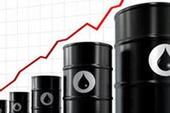 Ảnh chỉ có tính minh họa. (Nguồn: Internet)