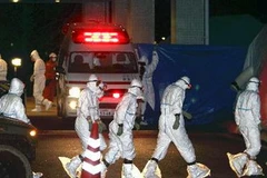 Các công nhân của nhà máy điện hạt nhân Fukushima 1. (Nguồn: AFP/TTXVN)