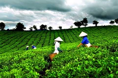 Ảnh minh họa. (Nguồn: thainguyen.gov.vn)