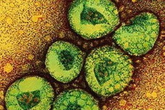 Ảnh chỉ có tính minh họa. (Nguồn: bbc.co.uk)