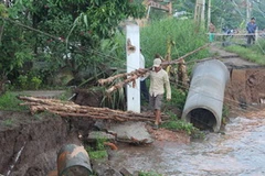 Sạt lở bờ kè ven sông Cần Thơ làm giao thông tê liệt