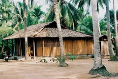 Nhà dừa. Ảnh minh họa. (Nguồn: bentre.gov.vn)