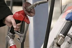 Ảnh chỉ có tính minh họa. (Nguồn: Internet)