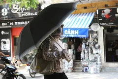 Ảnh chỉ có tính minh họa. (Ảnh: Minh Đức/TTXVN)