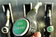 Ảnh chỉ có tính minh họa. (Nguồn: peru.com)