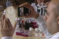 Ảnh chỉ có tính minh họa. (Nguồn: Internet)