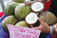 Ảnh chỉ có tính minh họa. (Nguồn: baoanhdatmui.vn)