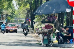 Bắc Bộ và Hà Nội sáng sớm có sương mù, trưa chiều nắng 29-32 độ C