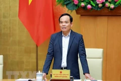 Phó Thủ tướng Trần Lưu Quang. (Ảnh: Thanh Thảo/TTXVN phát) 