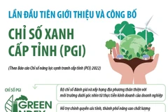 [Infographics] Giới thiệu và công bố Chỉ số Xanh PGI cấp tỉnh