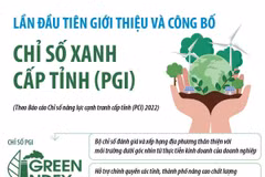 [Infographics] Giới thiệu và công bố Chỉ số Xanh PGI cấp tỉnh